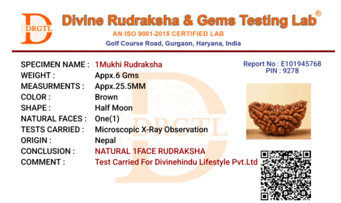 1 Mukhi Lab Certified Rudraksha - Image 6