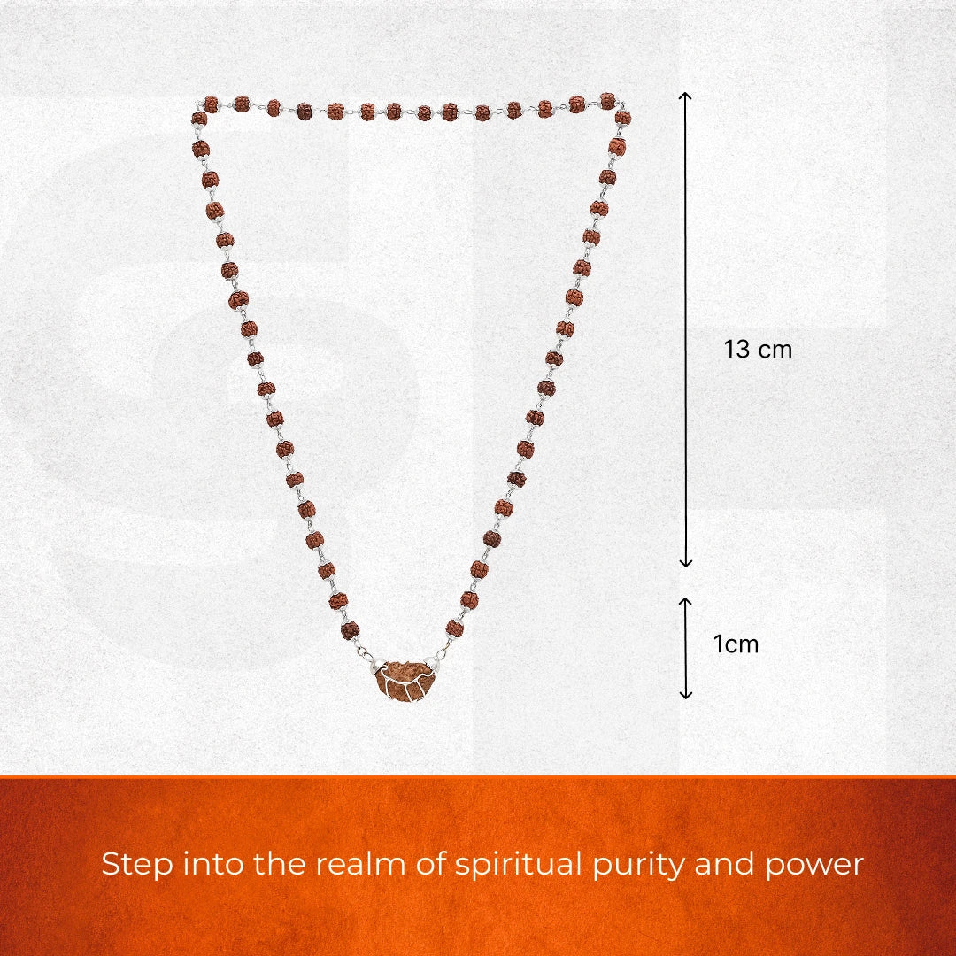 1 Mukhi Rudraksha Pendant with Silver Cap - Image 5