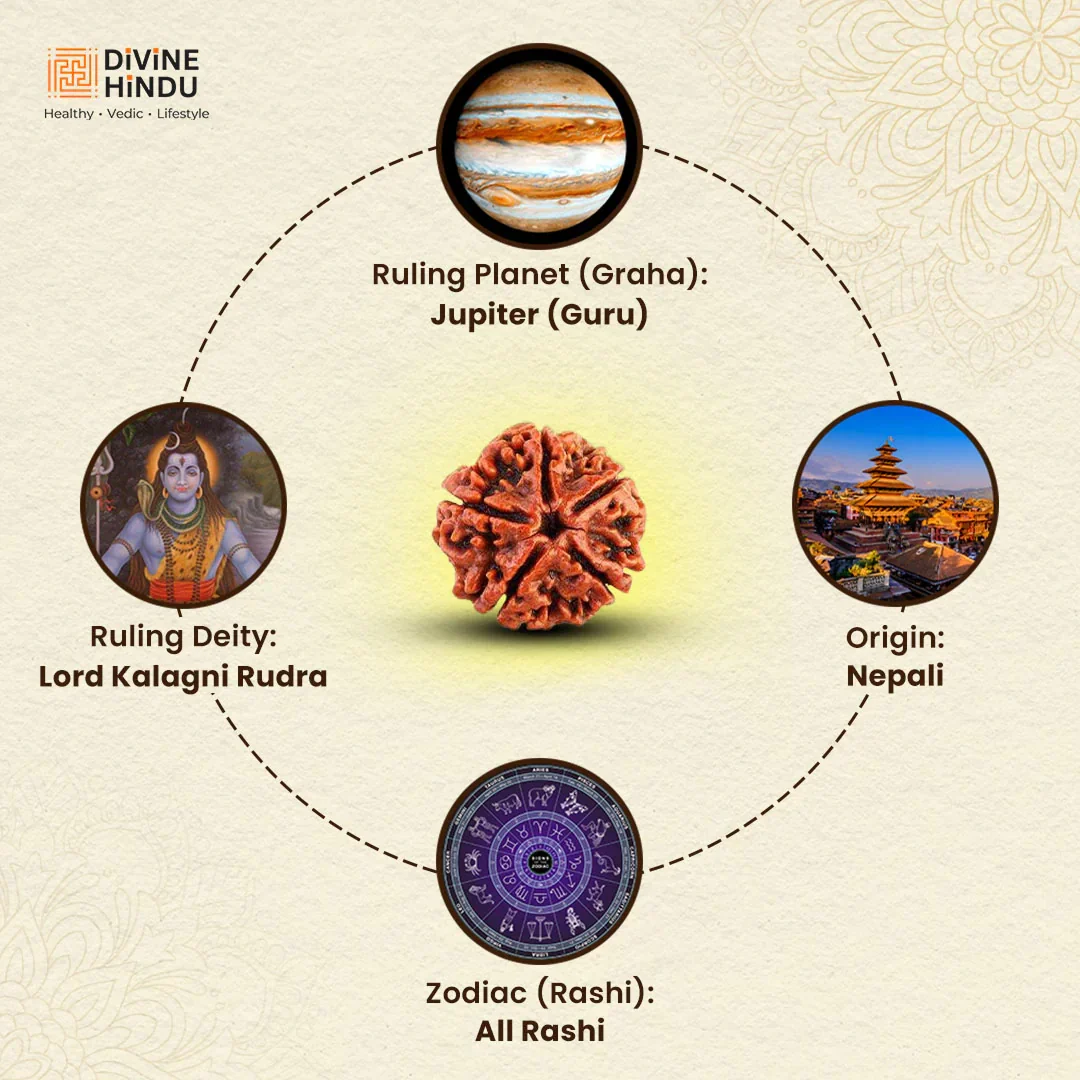 Natural 5 Mukhi Nepali Rudraksha - Image 4