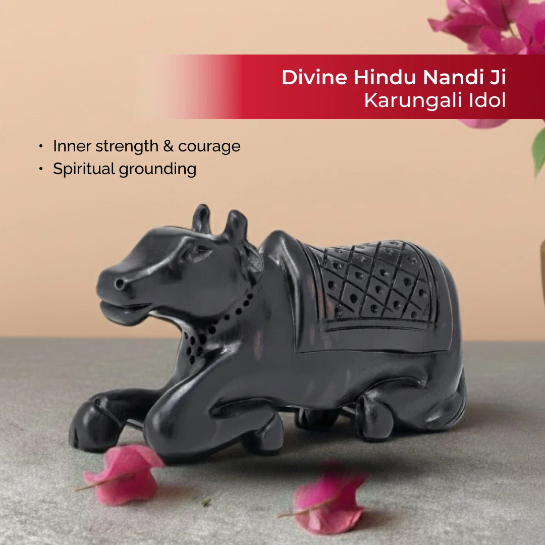 Divine Hindu Nandi Ji Karungali Idol – Ebony Wood - Image 3