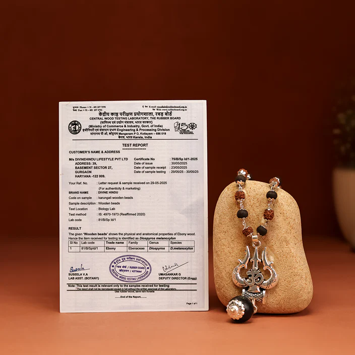 Rudraksha Karungali Malai in Silver-Cap with Om Shiva Trishul with Larger Bead - Image 7