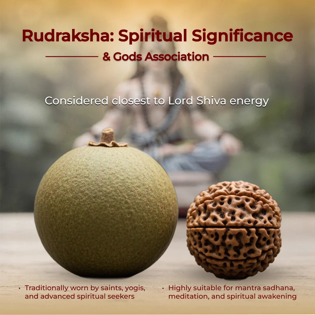 7 Chakra Rudraksha Bracelet - Image 7