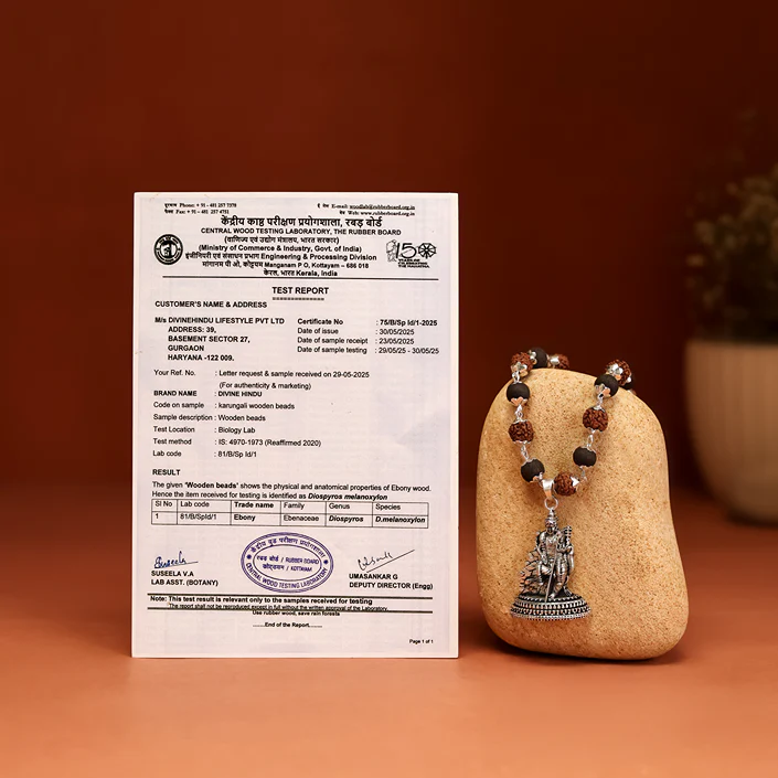 Rudraksha Karungali Malai in Silver-Cap with Lord Murugan with Base - Image 8